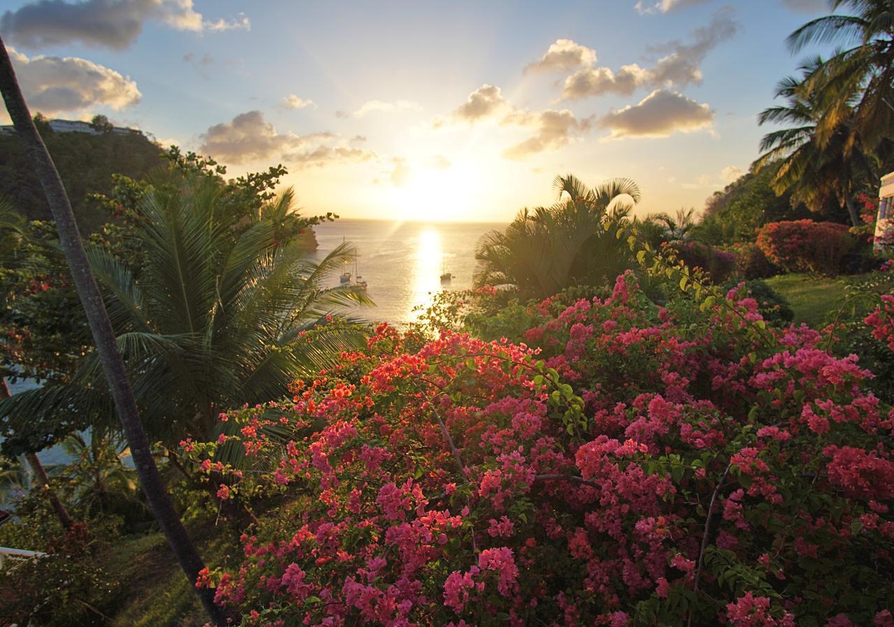Marigot Beach Club & Dive Resort Kültér fotó